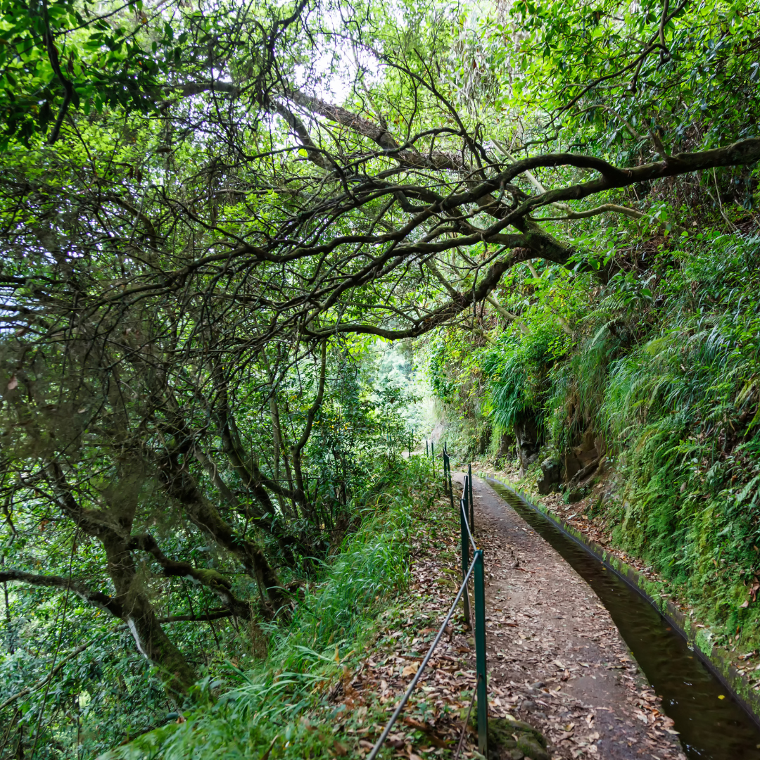 MADEIRA - Viajes en grupo