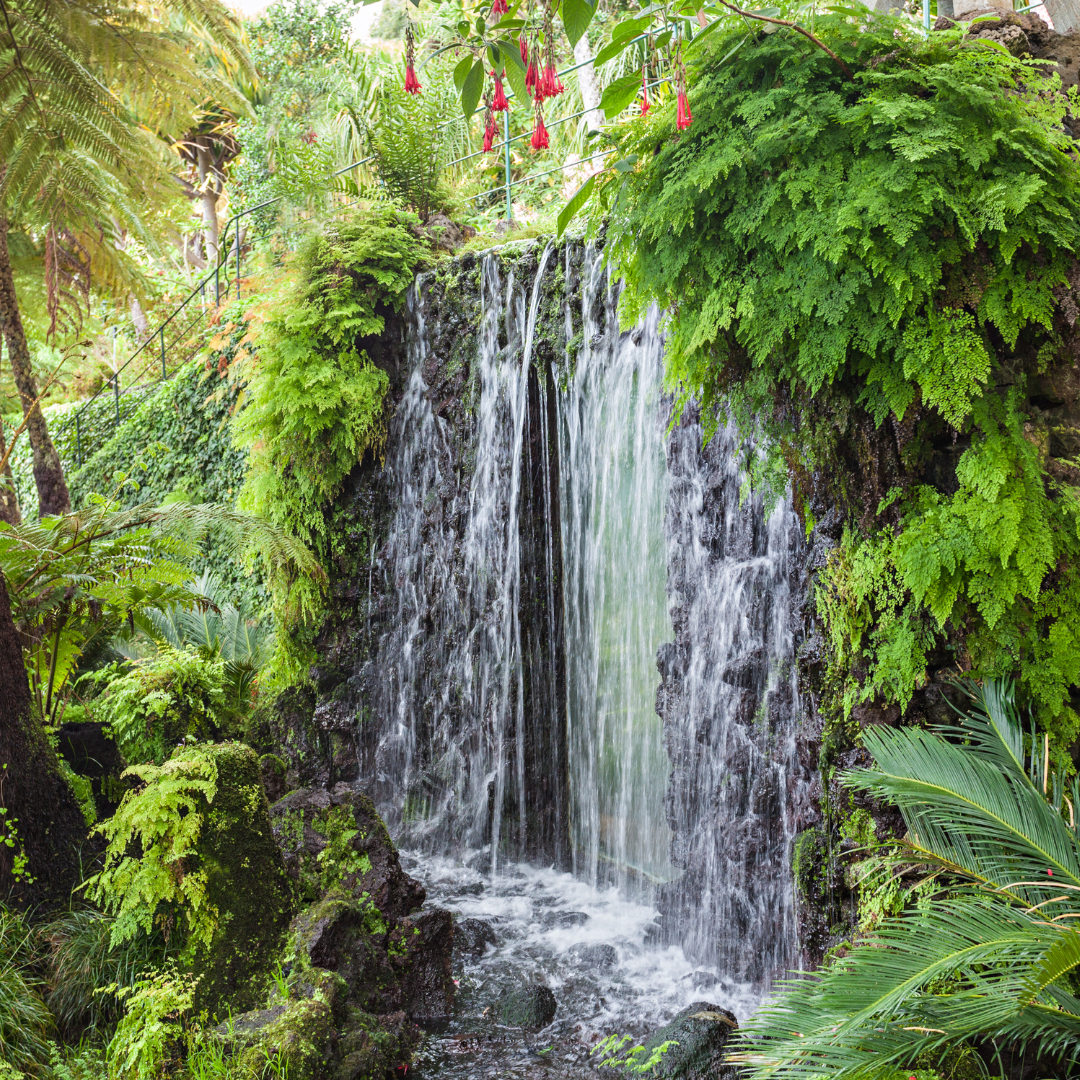 MADEIRA - Viajes en grupo