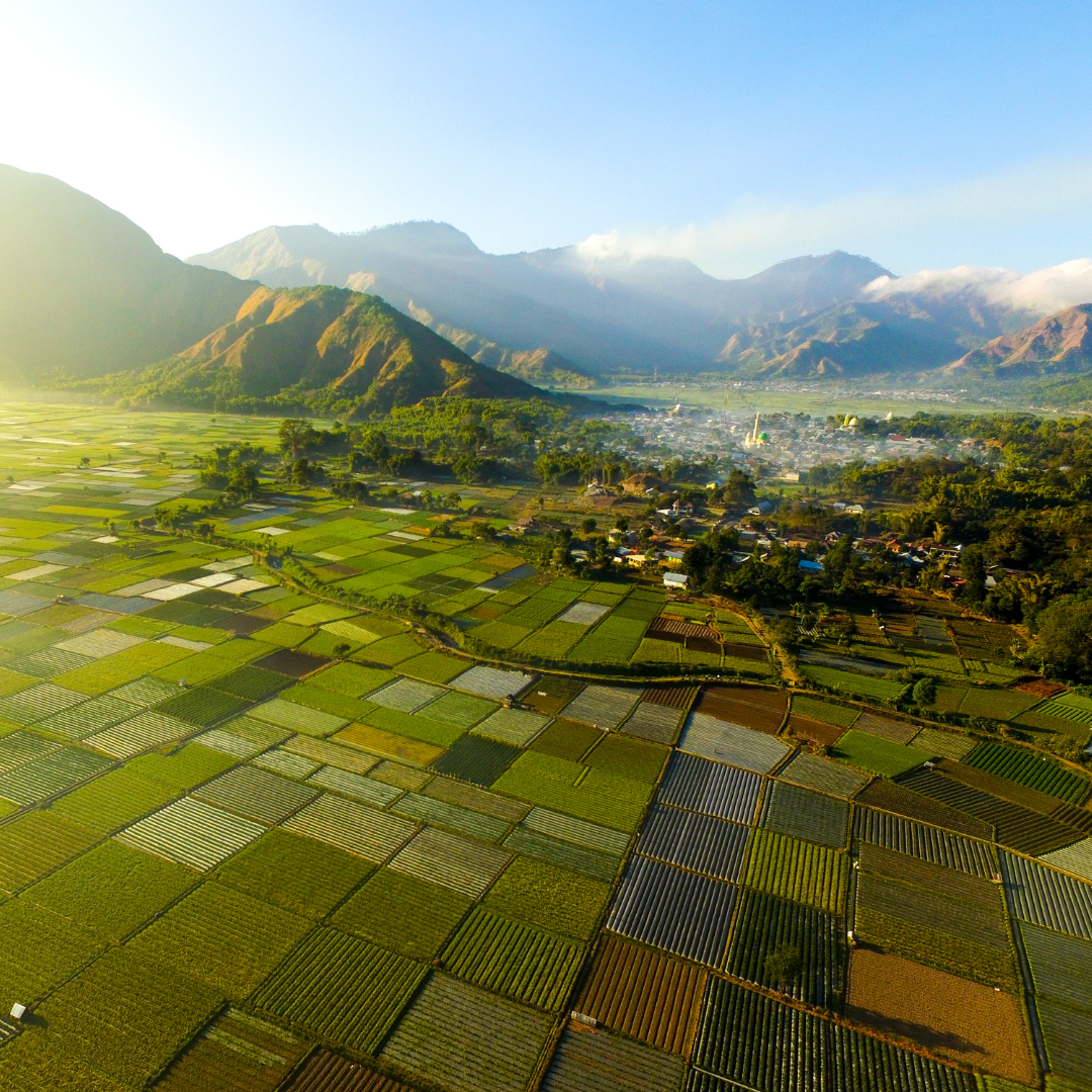 INDONESIA - Viajes en grupo